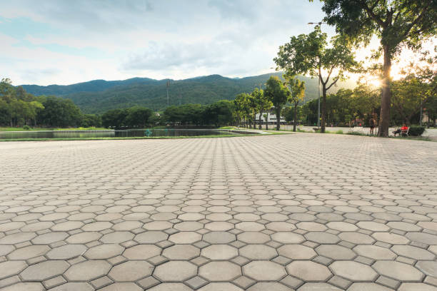 Best Residential Paver Driveway  in Lake Ronkonkoma, NY